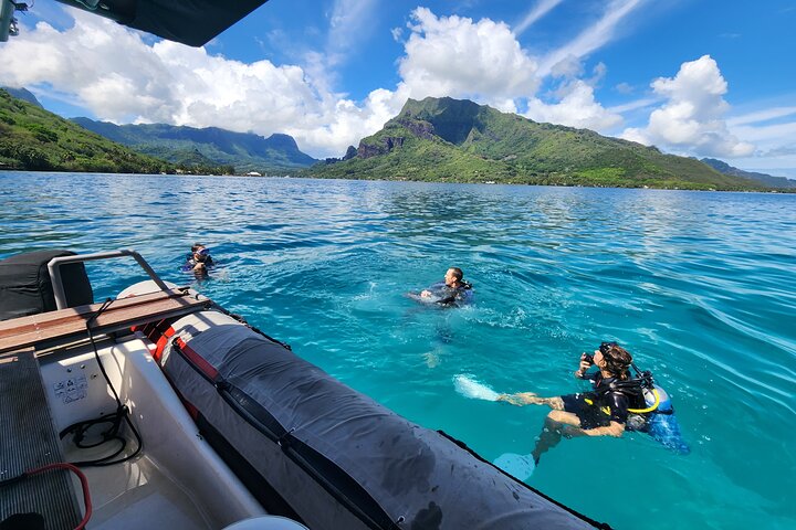 plongée à moorea