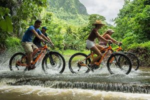 excursions terrestres moorea