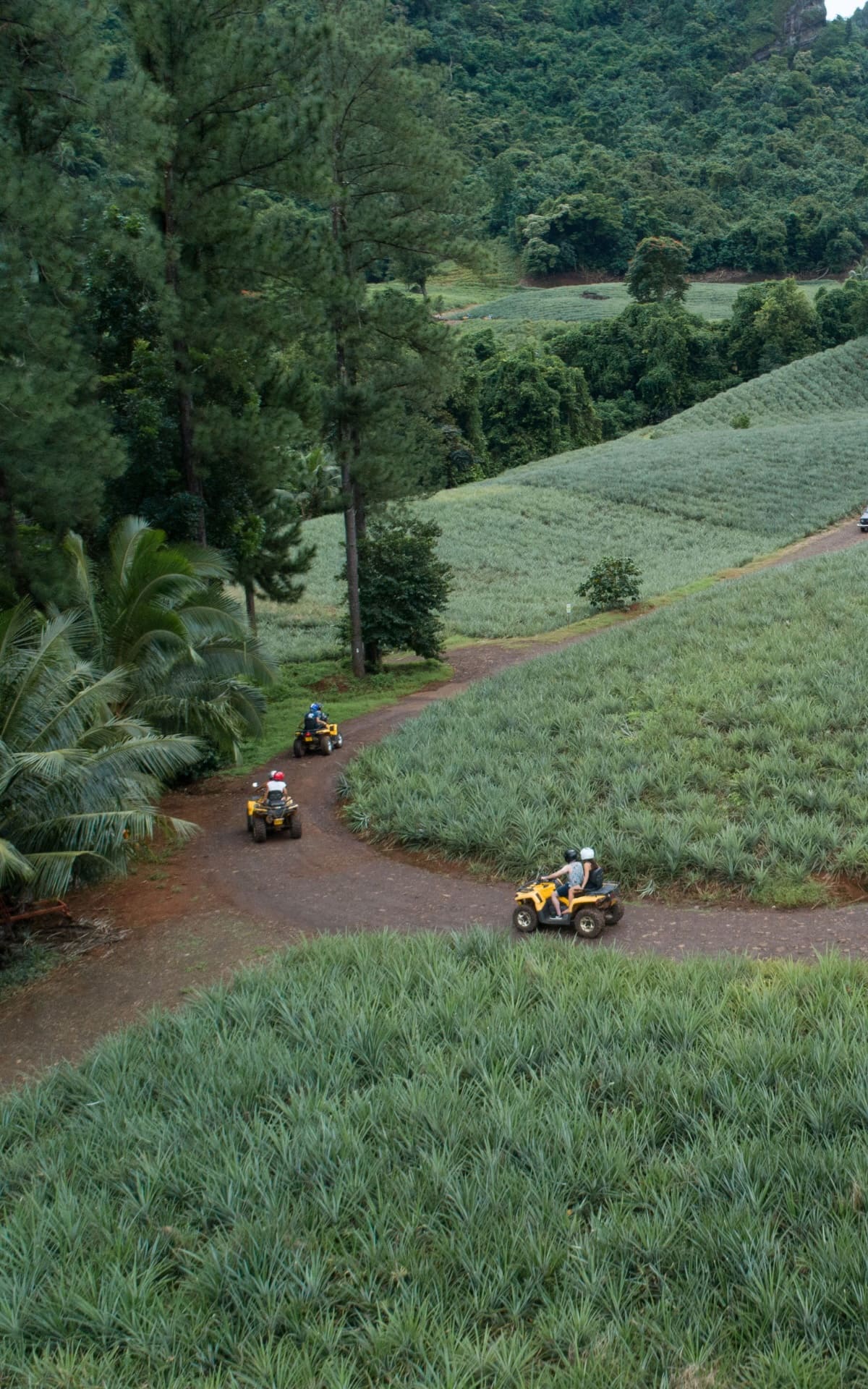 tour quad moorea