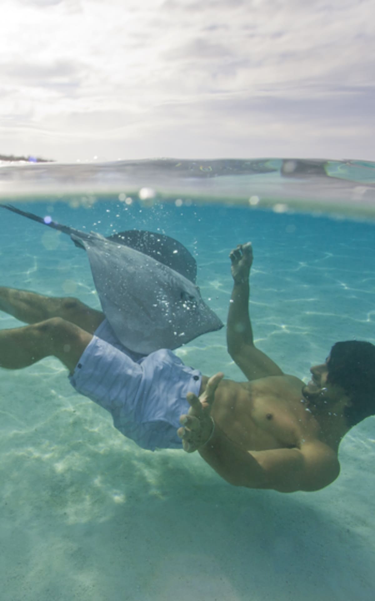 nager avec les raies moorea