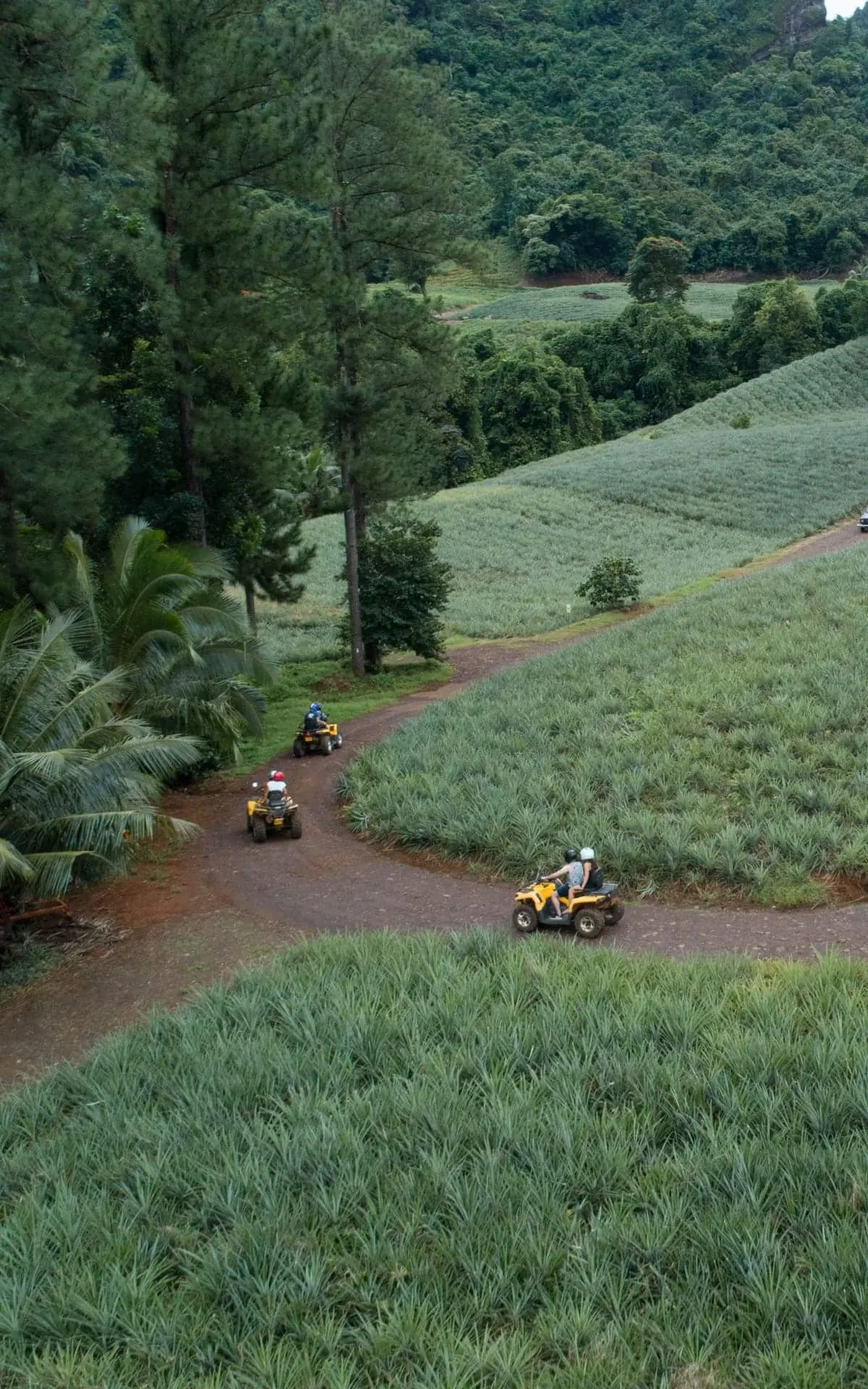Quads on a track through the fields