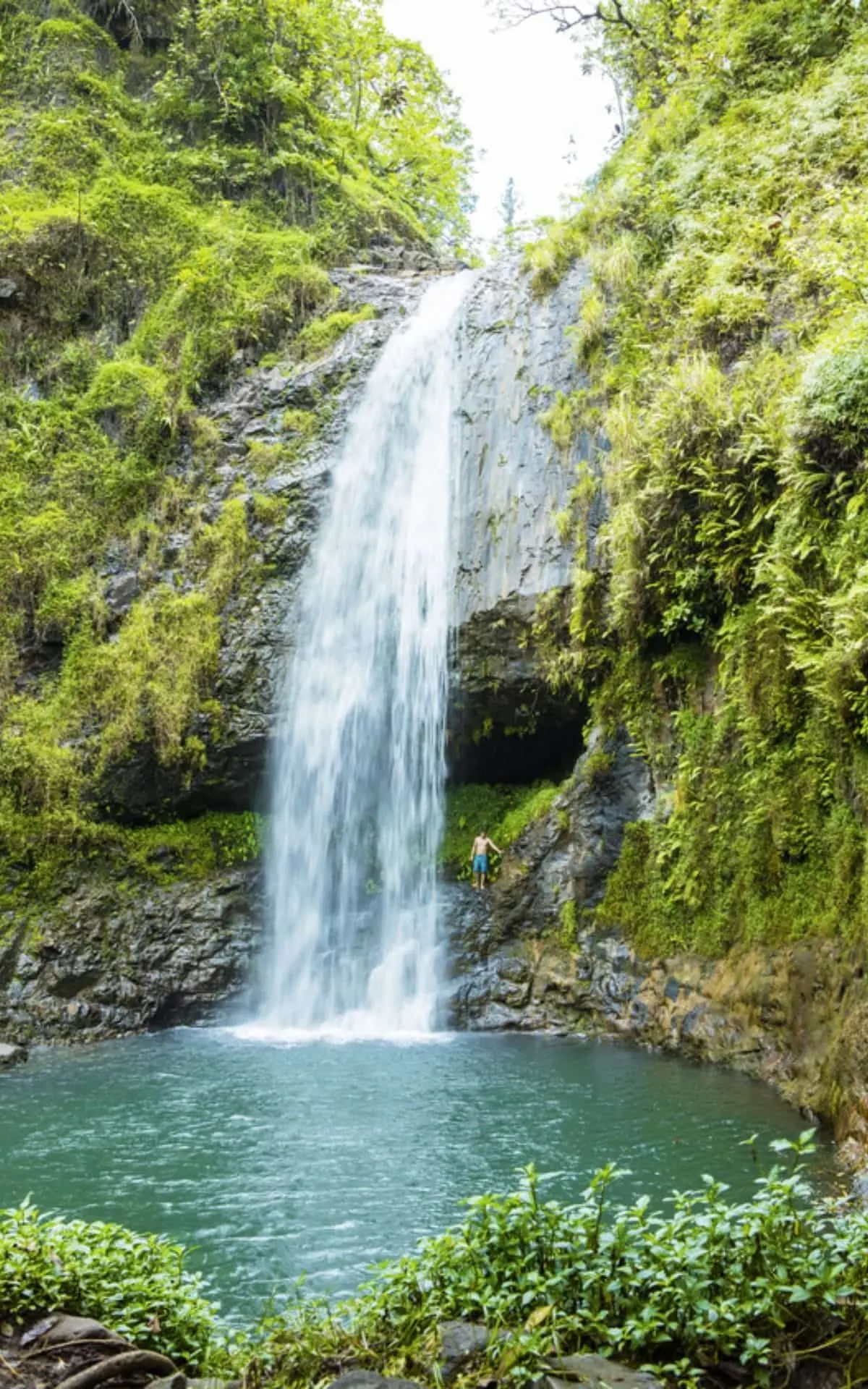 Waterfall in Moorea's vegetation